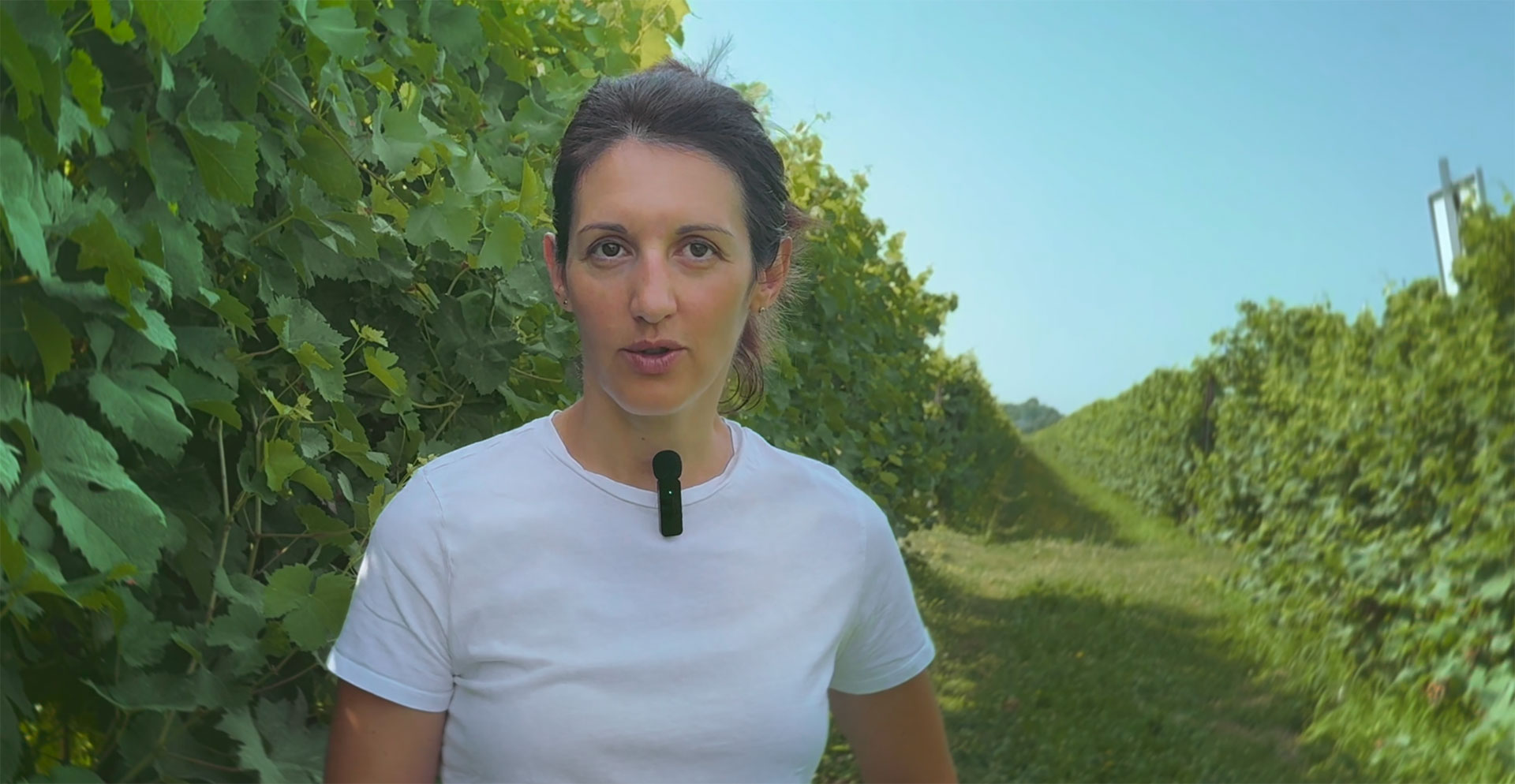 Federica Gaiotti - CREA Viticoltura ed Enologia