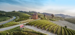 Vigneti a Nizza Monferrato